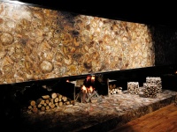 Brown Petrified Wood fire place