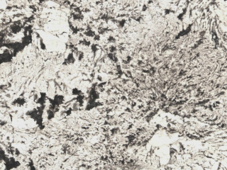 Alpinus granit