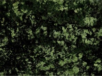 Green Bowenite