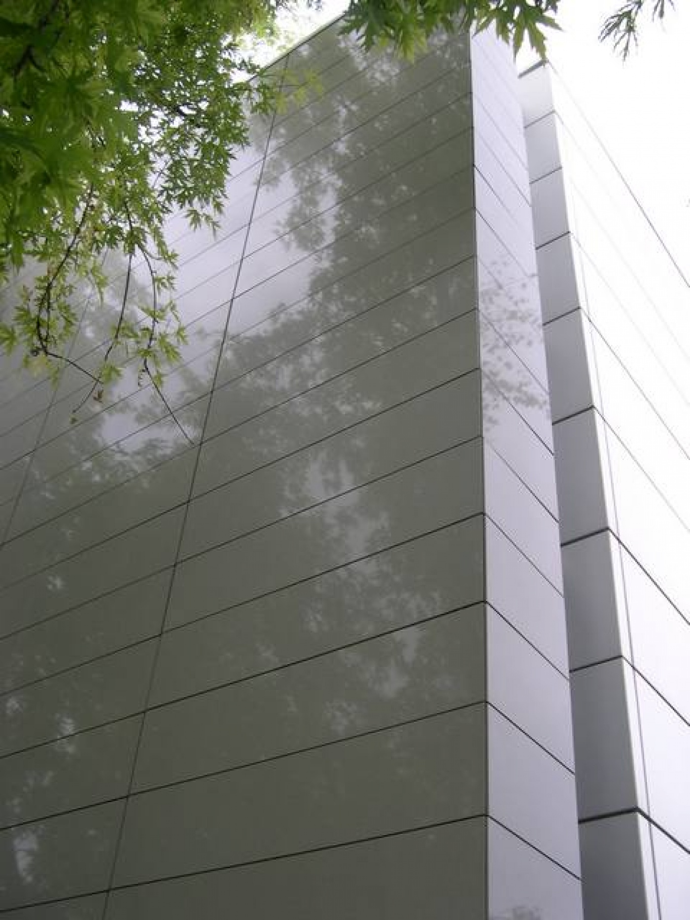 Granite Revêtement marbrier de façade sur mesure en quartz Gris Serena poli.

