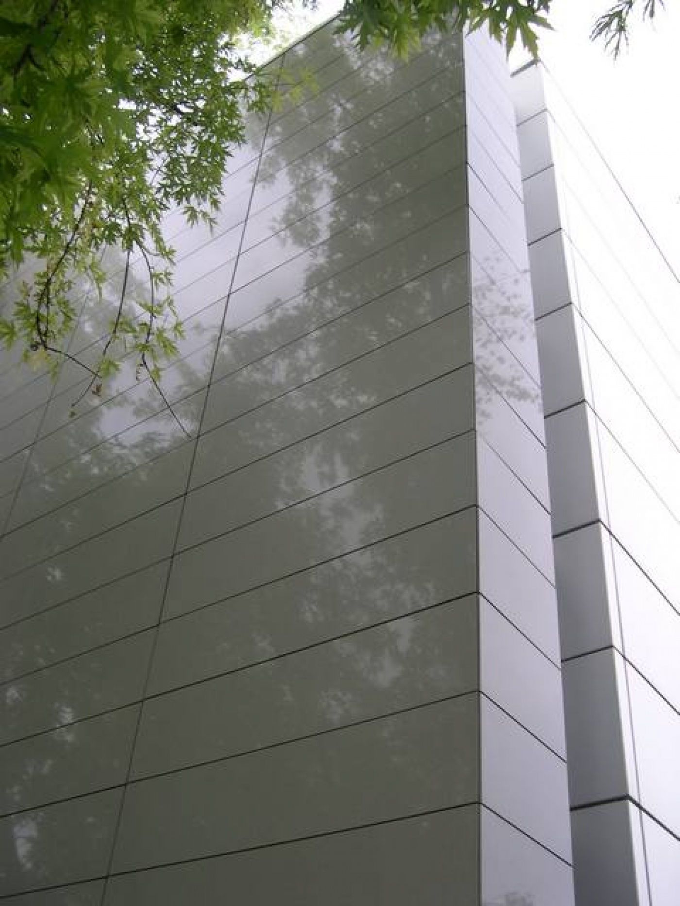 Semi-précieux Revêtement marbrier de façade sur mesure en quartz Gris Serena poli.

