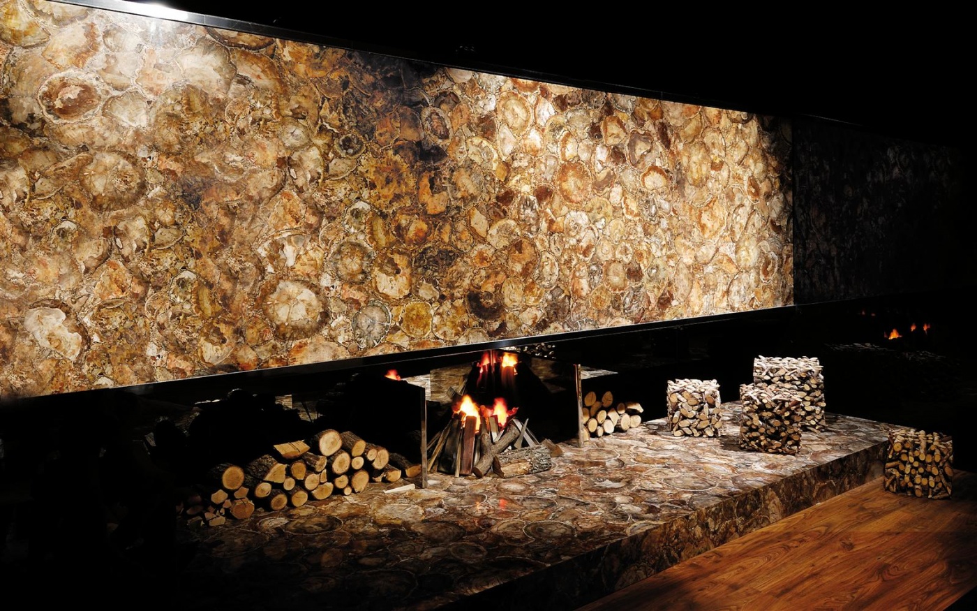 Marble Brown Petrified Wood fire place